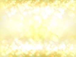 ヤマノ 美道 コハク スキンローション