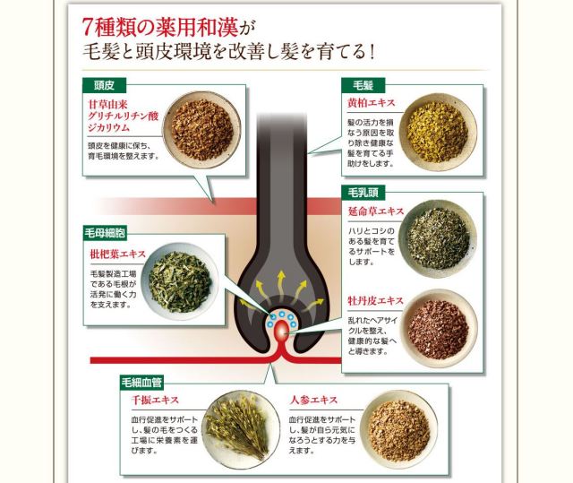 薬用和漢 育毛トータルセット