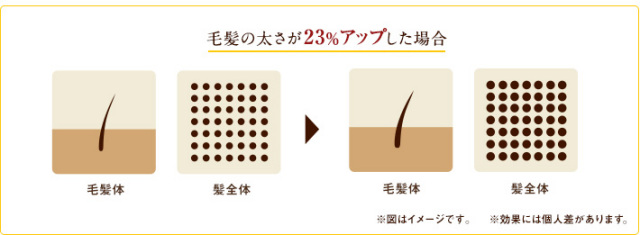 薬用和漢 育毛トータルセット